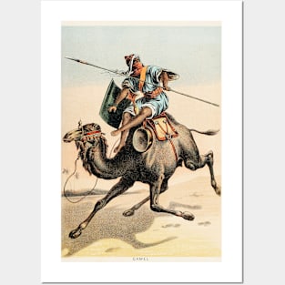 Camel chromolithograph Posters and Art